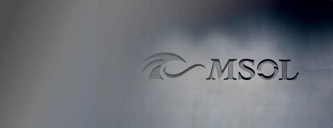 MSOLのPMO 4つの役割